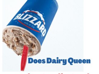 Does Dairy Queen Take Credit Cards