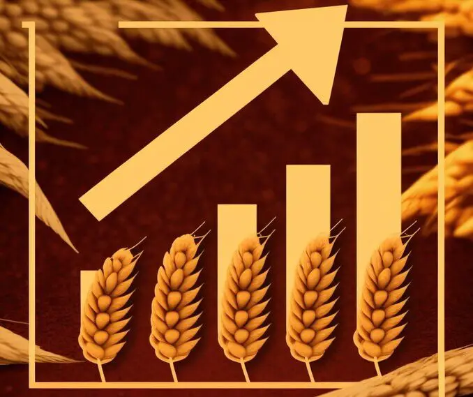 Wheat Price FintechZoom
